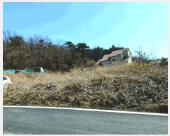  2025Ÿ��20274 �泲 ����� ����� õȣ�� 178-9      ����(�Ӿ�)���