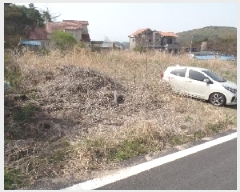  2025Ÿ��20274 �泲 ����� ����� õȣ�� 178-9      ����(�Ӿ�)���