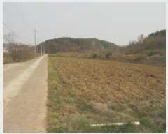  2025Ÿ20298 泲 ο ̸ ž 279      ()