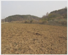  2025Ÿ20298 泲 ο ̸ ž 279      ()