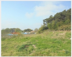  2025Ÿ��20306 �泲 �ο��� ������ û�۸� 717-1      ����(��1)���