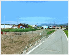  2025Ÿ��20320  ���ð��