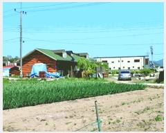  2025Ÿ��20320  ���ð��