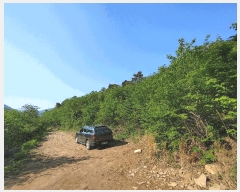  2025Ÿ��20337 �泲 ����� ����� �ѻ�õ�� ��30-1      ����(�Ӿ�)���