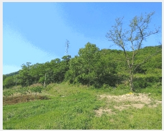  2025Ÿ��20337 �泲 ����� ����� �ѻ�õ�� ��30-1      ����(�Ӿ�)���