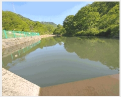  2025Ÿ��20337 �泲 ����� ����� �ѻ�õ�� ��30-1      ����(�Ӿ�)���