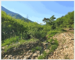  2025Ÿ��20337 �泲 ����� ����� �ѻ�õ�� ��30-1      ����(�Ӿ�)���