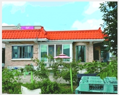  2025Ÿ��20404  ���ð��