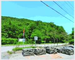  2025Ÿ��20408 �泲 �ο��� �ܻ�� ������ ��23-1      ����(�Ӿ�)���