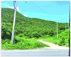  2025Ÿ��20408 �泲 �ο��� �ܻ�� ������ ��23-1      ����(�Ӿ�)���