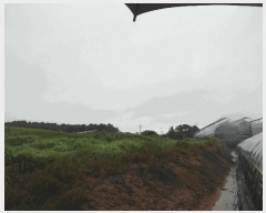  2025Ÿ��20491 �泲 ����� ������ õ���� 205-4      ����(��)���