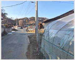  2025Ÿ��258 �泲 õ�Ƚ� ������ ���� ��۸� 571     ����(����)���