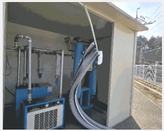  2025Ÿ397 泲 õȽ ϱ  Ű 243-1     