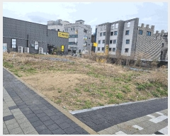  2025Ÿ��455  �������