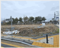  2025Ÿ455 泲 õȽ ϱ δ뵿 1077      ()