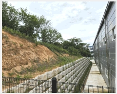  2025Ÿ��501  ������