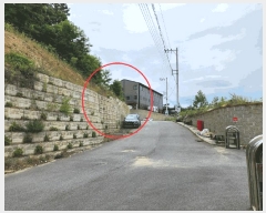  2025Ÿ��501  ������