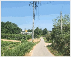  2025Ÿ��571 �泲 õ�Ƚ� ���ϱ� ��ȯ�� �Ź渮 356-1     ������