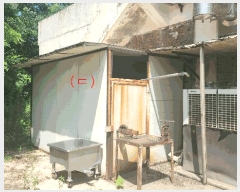  2025Ÿ��571 �泲 õ�Ƚ� ���ϱ� ��ȯ�� �Ź渮 356-1     ������