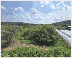  2025Ÿ��667 �泲 �ƻ�� ����� �ϼ��� 812-1      ����(��)���