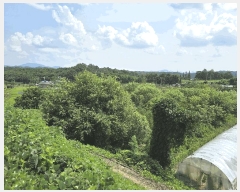  2025Ÿ��667 �泲 �ƻ�� ����� �ϼ��� 812-1      ����(��)���