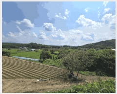  2025Ÿ��667 �泲 �ƻ�� ����� �ϼ��� 812-1      ����(��)���