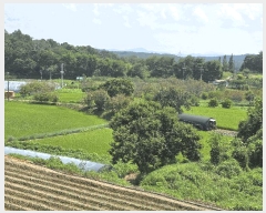  2025Ÿ��667 �泲 �ƻ�� ����� �ϼ��� 812-1      ����(��)���