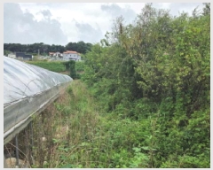  2025Ÿ��667 �泲 �ƻ�� ����� �ϼ��� 812-1      ����(��)���