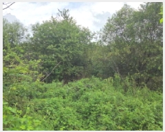  2025Ÿ��667 �泲 �ƻ�� ����� �ϼ��� 812-1      ����(��)���