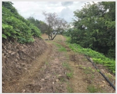  2025Ÿ��667 �泲 �ƻ�� ����� �ϼ��� 812-1      ����(��)���