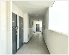  2025Ÿ��717  �ټ���(����)���