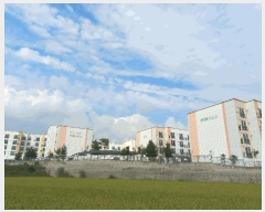  2025Ÿ��717  �ټ���(����)���