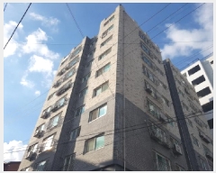  2025Ÿ��742  ���ǽ��ڰ��