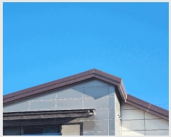  2025Ÿ��784  â�����