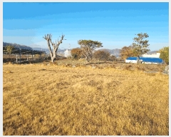  2025Ÿ��784  â�����