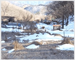  2025Ÿ��11205  �Ӿ߰��