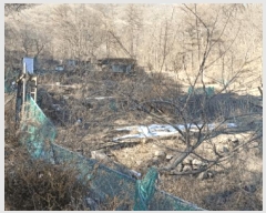  2025Ÿ��11205  �Ӿ߰��