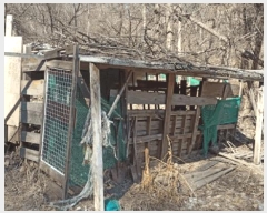  2025Ÿ��11205  �Ӿ߰��