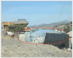  2025Ÿ��11244 �泲 �ƻ�� ��â�� �Ű 184-3      ����(����)���