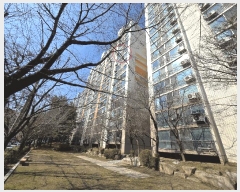  2025Ÿ11320 泲 õȽ ϱ ֿ뵿 652 ϼƮ 302 111101ȣ   Ʈ