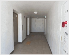  2025Ÿ��11349 �泲 �ƻ�� ��ȭ�� 1394 �ƻ��ȭ������ũ 103�� 25��2504ȣ    ����Ʈ���