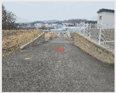  2025Ÿ11402 泲 õȽ ϱ   22-9     (Ӿ)