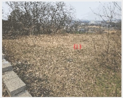  2025Ÿ11402 泲 õȽ ϱ   22-9     (Ӿ)