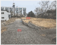  2025Ÿ11402 泲 õȽ ϱ   22-9     (Ӿ)