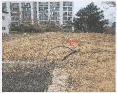  2025Ÿ11402 泲 õȽ ϱ   22-9     (Ӿ)