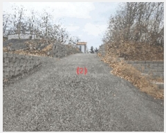  2025Ÿ11402 泲 õȽ ϱ   22-9     (Ӿ)