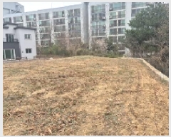  2025Ÿ11402 泲 õȽ ϱ   22-9     (Ӿ)