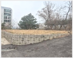  2025Ÿ11402 泲 õȽ ϱ   22-9     (Ӿ)