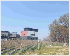  2025Ÿ��11455  �����