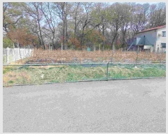  2025Ÿ��11455  �����